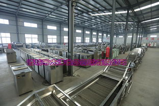 新一代雞翅與雞脯肉上糠設(shè)備的維護(hù)與常見計(jì)算機(jī)故障排除